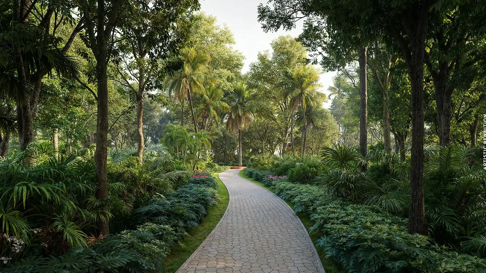 Nature Walk Trail